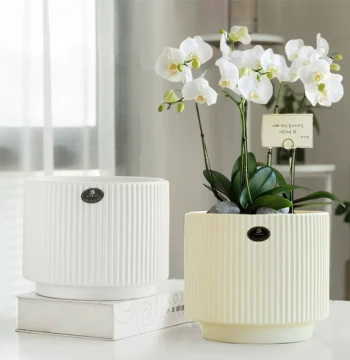 Minimalist Ceramic Flower Pots in Black, White, and Gray for Indoor Use, Specialized Pots for Money Trees, Phalaenopsis Orchids, Spider Plants, and Succulents