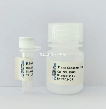 RfectPM V2 siRNA Primary Cell Transfection Reagent High-Efficiency Transfection