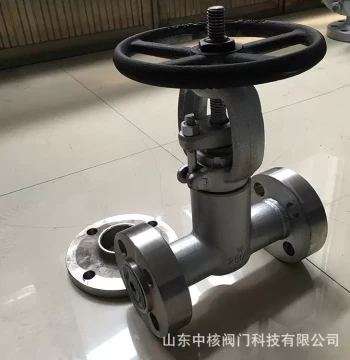 304 Stainless Steel RQT High-Temperature High-Pressure Gate Valve 1, DZ4Y Power Station Gate Valve, Non-Self-Sealing Stainless Steel Gate Valve