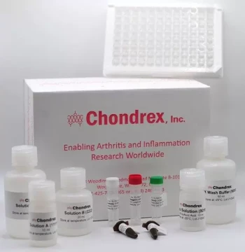Chondrex 6022 Glycosaminoglycans Assay Kit