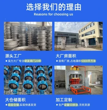 Diedian Stainless Steel Wafer Butterfly Valve D971X-10PKEQ Electric Actuated Corrosion Resistant Valve for Water Treatment