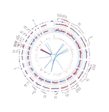 Bioinformatics Analysis Services – Mendelian Randomization, R Language, Single-Cell Sequencing, Transcriptomics, and Meta-Analysis for Medical Research