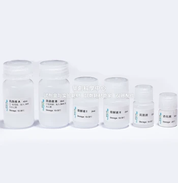 BIOG RNA Extraction Kit for Paraffin-Embedded Tissues Designed for Rapid and Efficient RNA Isolation from FFPE Samples