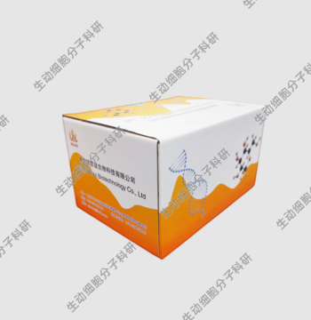 BOLAZ Multi-Function DNA Purification and Recovery Kit for DNA Recovery and PCR Enzyme Digestion Product Purification