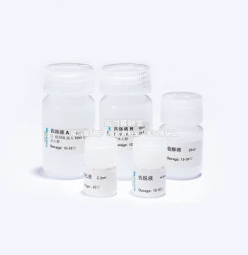 Starvio High-Yield T7 RNA In Vitro Transcription Kit for Translation/Structural Function/RNase Protection