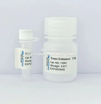 Rfect V2 siRNA Transfection Reagent - For Small RNA Transfection in Most Adherent Cell Lines