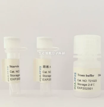 Starvio DNA & siRNA Transfection Kit, Rapid and Efficient Transfection for Adherent and Suspension Cells