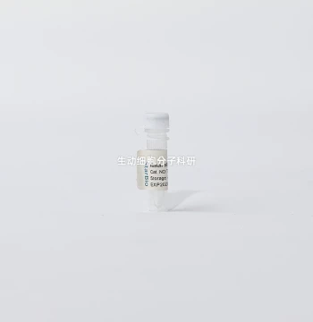 Starvio siRNA Transfection Reagent for Small RNA Molecules under 200bp, Suitable for Adherent Cells