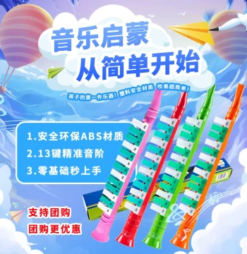 Dongfangding Children's Pipe Organ Musical Toy, Educational Blow Horn Instrument with 13 Keys, Wind Organ Gift for Little Girls