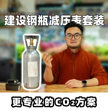 Shandong Jianshe CO2 Cylinder Kit for Aquariums - Double Gauge Bubble Counter and Diffuser