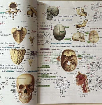 Upgraded Huo Kun Systematic Anatomy Notebook - Color Printed Perfect-Bound Edition