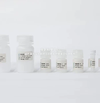 Starvio High-Yield T7 RNA In Vitro Transcription Kit - Rapid Synthesis of Various RNA Types In Vitro