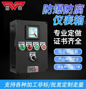 Custom Explosion-Proof Corrosion-Resistant Electrical Box, Control Column, Instrument Enclosure, Triple-Protection Switch, Waterproof Junction Box, Button Panel