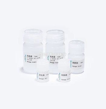 BIOG Bacterial DNA Extraction Kit – Suitable for Gram-Negative and Gram-Positive Bacteria, High Yield