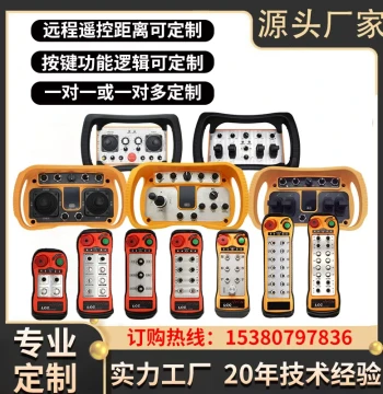 LCC Custom Tower Crane, AGV Vehicle-Mounted Crane, Jib Crane, Gantry Crane, Industrial Wireless Remote Control