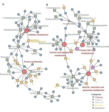 Tumor Microenvironment Analysis and Immune Cell Infiltration Research