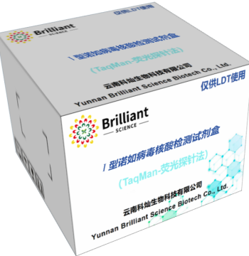 Norovirus Genogroup I Nucleic Acid Detection Kit
