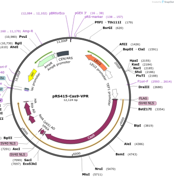 pRS415-Cas9-VPR Plasmid (#163971)
