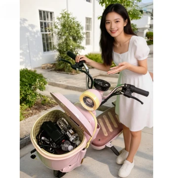 Waterproof Locking Front Basket and Rear Box for Aima, Yadea, and Luyuan E-Bikes - Large Capacity