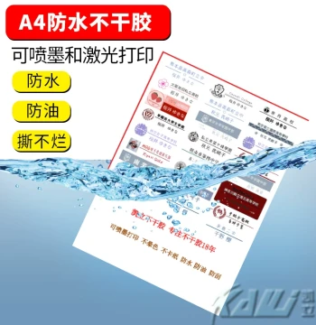 A4 Self-Adhesive Synthetic PP Label Paper for Inkjet Printing - Matte/Glossy, Waterproof, Color Printable