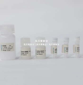 Starvio T7 RNA In Vitro Transcription Kit – High Sensitivity, Specificity, and Purity for Trace Samples