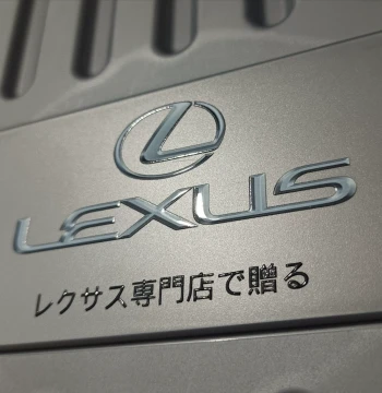 Lexus Car Storage Box, Vehicle Organizer, Trunk Storage Container, Foldable Bin for Home and Outdoor Use