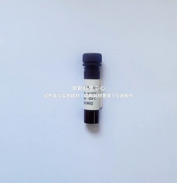 BIOG T7 RNA Probe Labeling Kit: High-Activity RNA Polymerase for Efficient RNA Probe Preparation