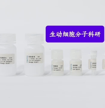 Starvio Plasma Cell-Free DNA (cfDNA) Extraction Kit for Liquid Sample Processing