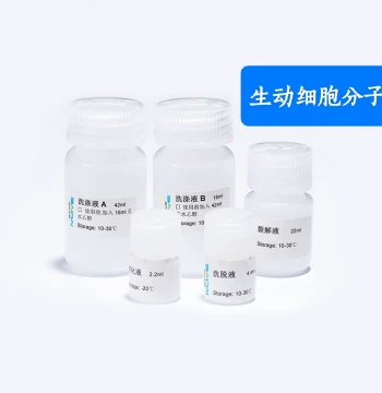 Starvio Cell RNA Extraction Kit – Specifically Designed for Genomic RNA Extraction from Various Cell Samples