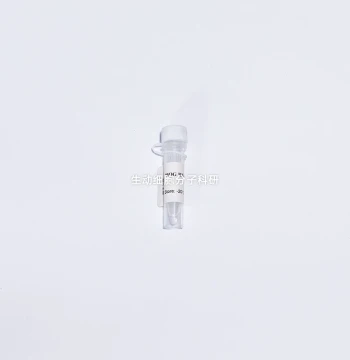 BIOG RNA Protector, Broad-Spectrum RNase Inhibition Activity, Easy to Use