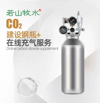 CO2 Steel Cylinder for Aquariums by Shandong Jianshe, Complete Set for Planted Tanks with Inflation Service and Diffuser