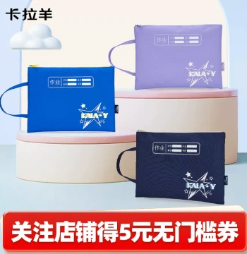 Carany Student Stationery Pouch & Folder - A4 Paper Storage Bag for Documents, Exams, and Homework, Perfect School Bag Companion