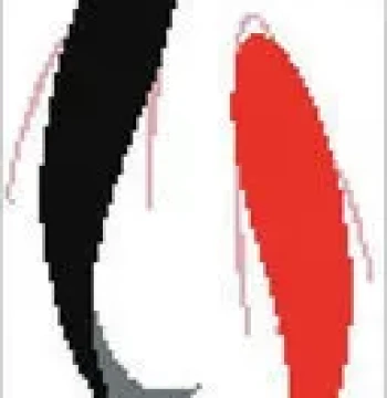 In Stock Cross-Stitch Finished Product / Annual Surplus / Annual Fish / Two Fish / Pure Handmade Finished Product Special Price