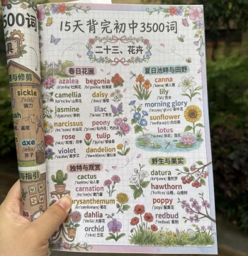 Master English Vocabulary in 15 Days Rapid Memorization Notebook for Junior and Senior High School English Word Learning