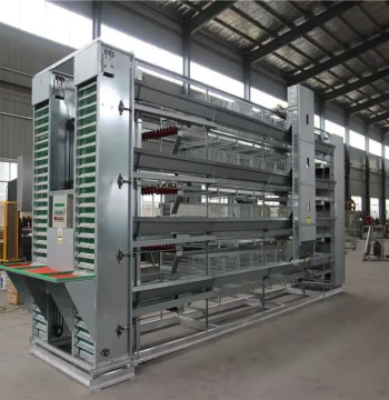 Automatic Egg Collection VCV Machine, Automated Poultry Farming Equipment for Egg Gathering and Chicken Feeding