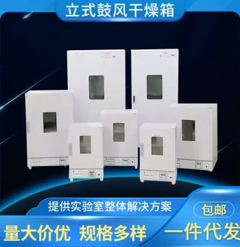 Shanghai Senxin DGG Series Electric Constant-Temperature Blast Drying Oven, Vertical Stainless Steel Drying Chamber