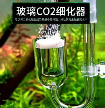 Glass Carbon Dioxide Refiner CO2 Diffuser Diffusion Barrel Atomizer Planted Tank Dissolver Ceramic Refinement
