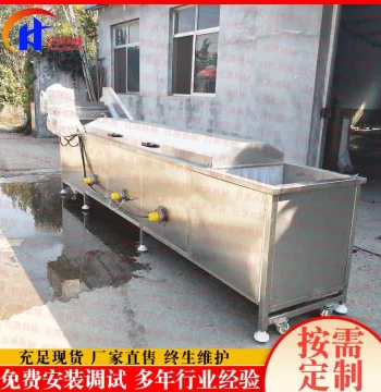 New Yellow Peach Washing and Blanching Machine - Hawthorn Pre-cooking Equipment for Fruit Canning Processing