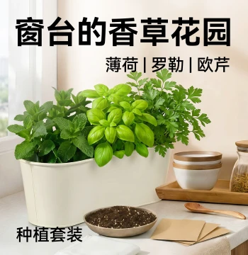 Crop Growth Home Gardening Herb and Vegetable Kit, Balcony Planting Pots for Edible Mint, Basil, and Parsley