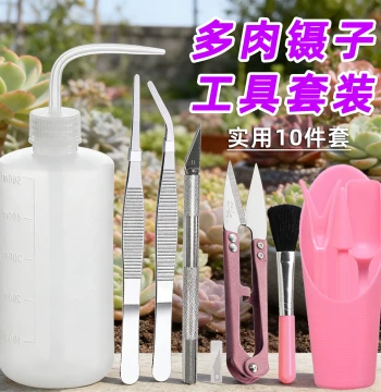 Succulent Tool 10-Piece Set Stainless Steel Tweezers, Watering Can, Grafting Knife, Root Trimming Scissors for Gardening and Planting Beginners
