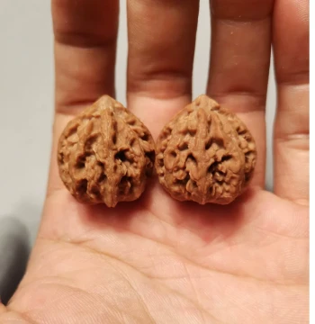 Natural Dwarf Wild Walnut Handheld Ornament, Perfectly Round Beijing Eight-Ridge Premium Lion's Head Stress Reliever