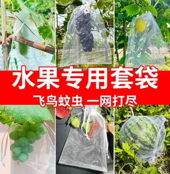 Anti-Insect and Anti-Bird Net Bags for Fruit Trees - Protection for Grapes, Figs, Guavas, Strawberries, and Peaches