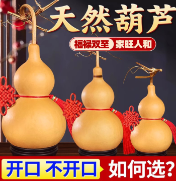 Natural Gourd Display Piece with Dragon Head - Wealth-Attracting Hanging Ornament for Home and Office