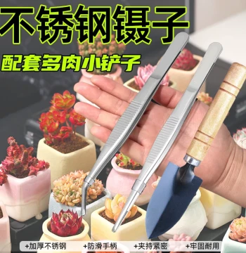 Succulent Shovel Tool Set Stainless Steel Tweezers Gardening Small Shovel Soil Scoop Three-Piece Set Flower Care Clip Planting Watering Can