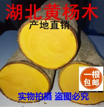 Authentic Hubei Boxwood Raw Material for Carving Practice, Small Log Segments for Pen Holders, Seals, Paperweights, and Ornaments