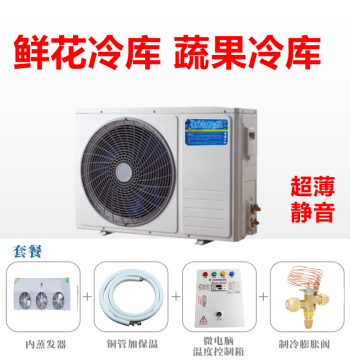 Silent Ultra-Thin Cold Storage Unit for Fruits Flowers Vegetables - Rear-Loading Cooler for Freshness Preservation