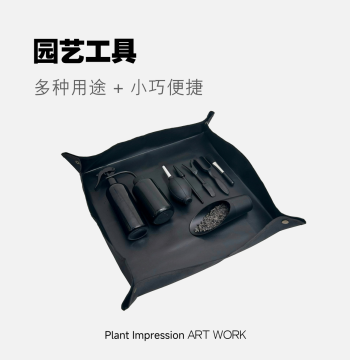 Gardening Tool Set for Succulents and Caudex Plants - Planting Tools, Flower Mat, Trowel, Spray Bottle, Cleaning Kit