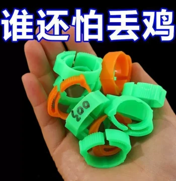 Snap-On Poultry Leg Bands: ID Rings for Chickens, Pigeons, Ducks, and Geese with Marking Pen