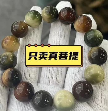 Jade-Transformed Aged Bodhi Bead Bracelet - Large Round Multi-Gem 'Pidan' Design with High Oil Density for Men and Women