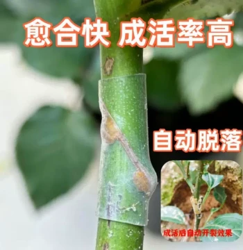 Beginner-Friendly Grafting Tubes for Various Branch Sizes - Flexible Hose for Plants, Flowers, Fruit Trees, Vegetables, Tomatoes, and Passion Fruit
